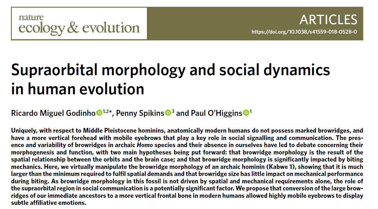 Supraorbital morphology and social dynamics in human evolution – new paper out in NatureEcoEvo